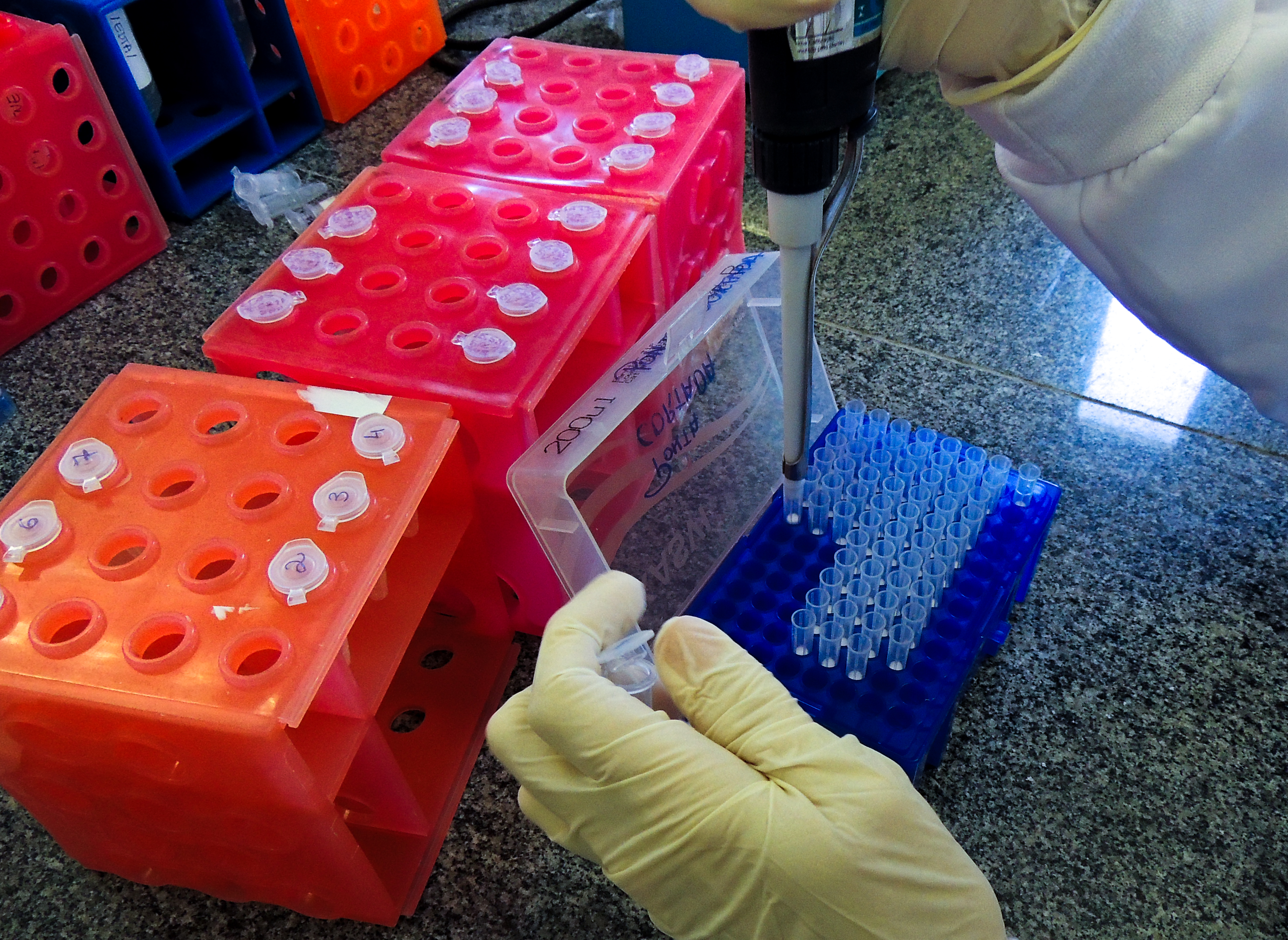 Com 1.579 perfis genéticos, o banco de DNA Forense da Pefoce está entre os que mais crescem no País