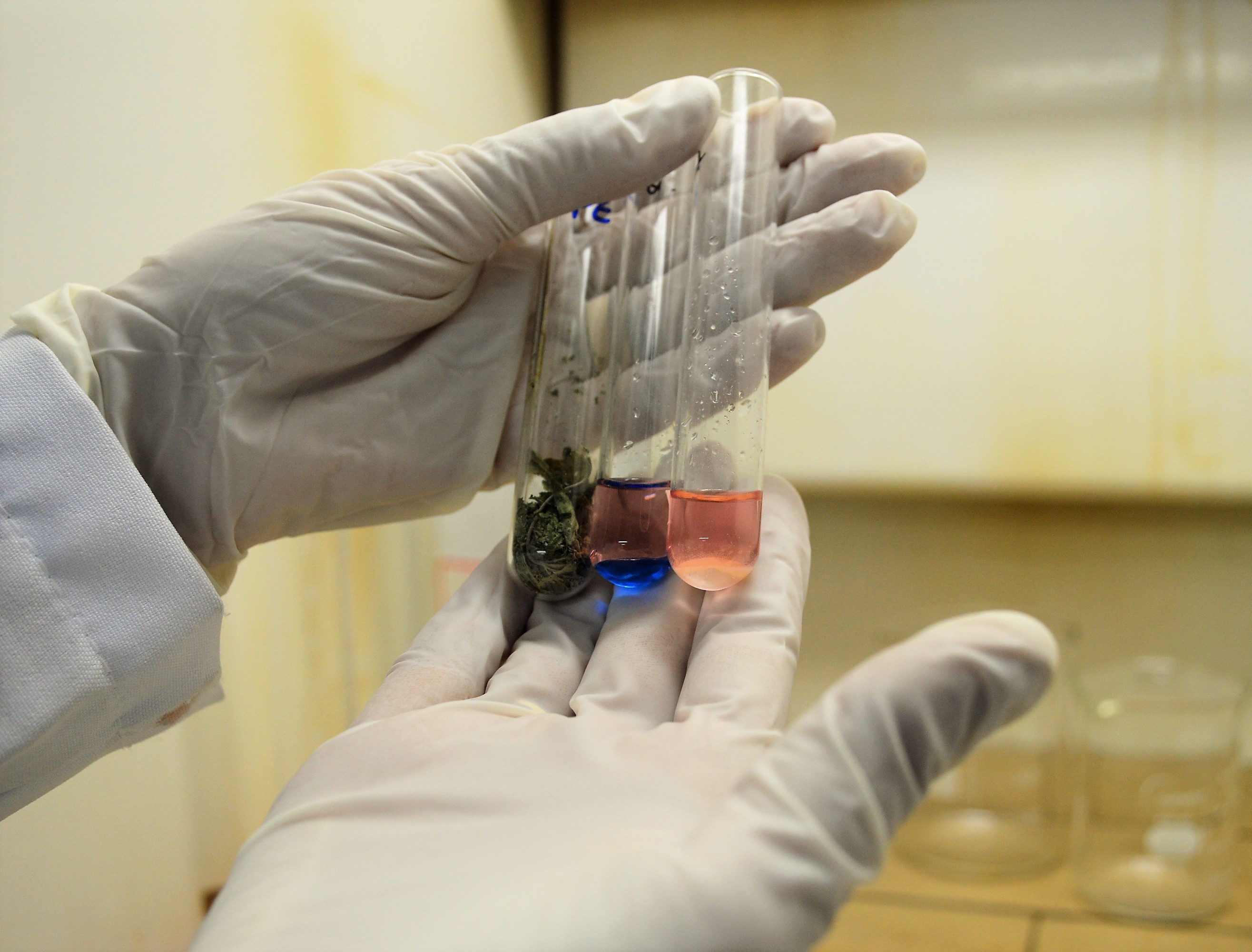 Toxicologia Forense contribui com o trabalho da Polícia Civil