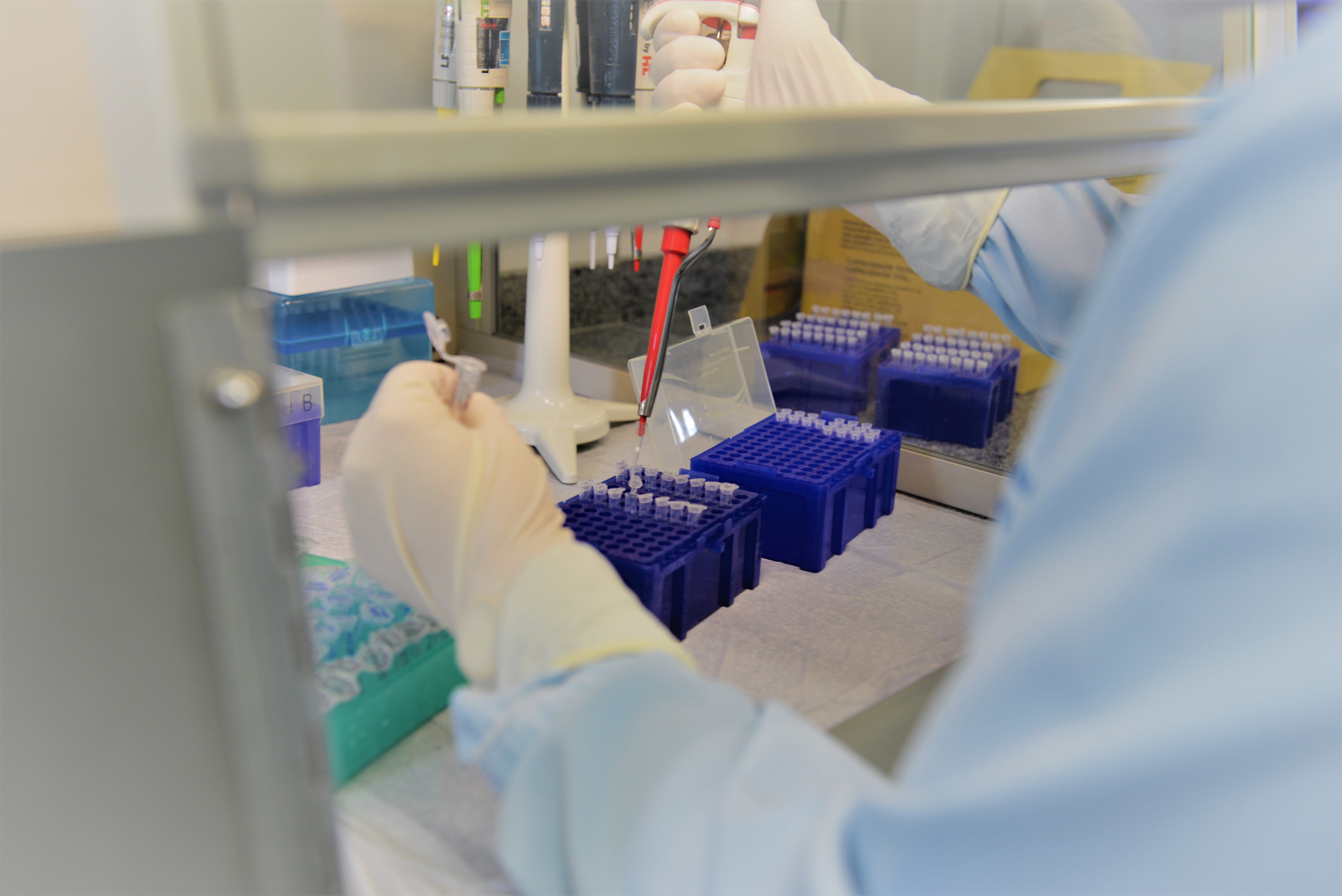 Perícia em Ação: Estado do Ceará é primeiro colocado da Região Norte e Nordeste em coleta de DNA em local de crime